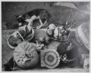 Image description is not available for 2014.030